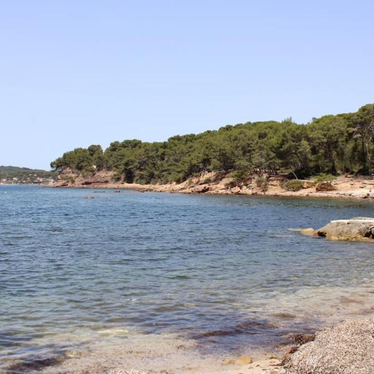 Studio l'Echappée mandréenne le calme entre mer et forêt - Appartamento - 23
