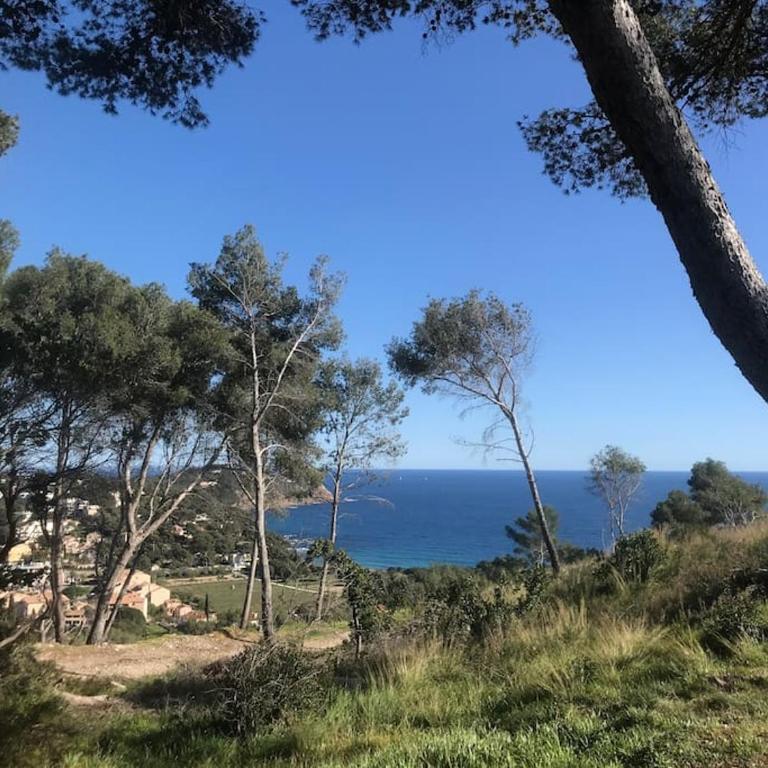Studio l'Echappée mandréenne le calme entre mer et forêt - Appartamento - 27