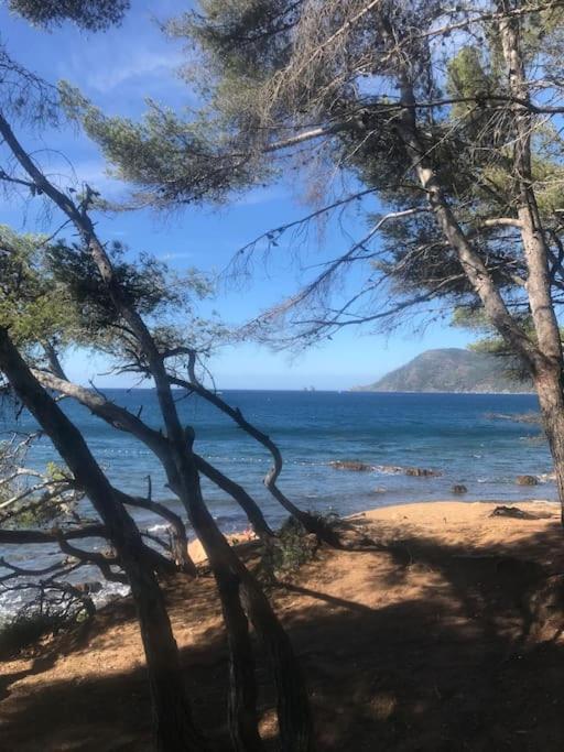 Studio l'Echappée mandréenne le calme entre mer et forêt - Appartamento - 25