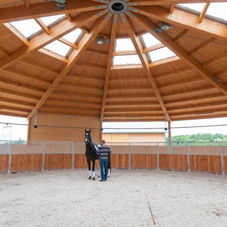 Domaine équestre de la Chênaie - Studio - 21