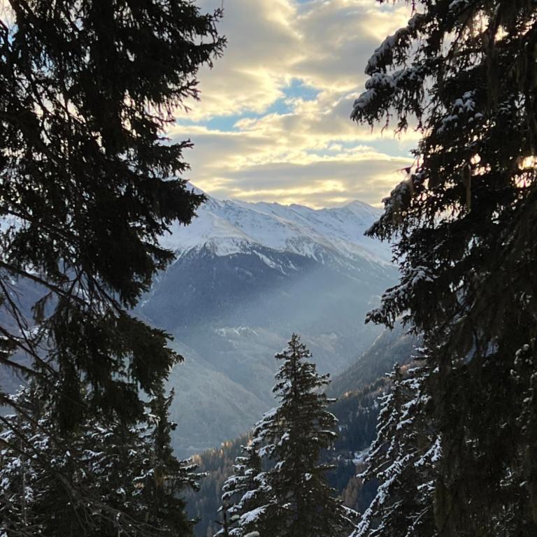 Cosy Studio for 5 near ski lift, Les Gentianes - Studio with Mountain View - 33
