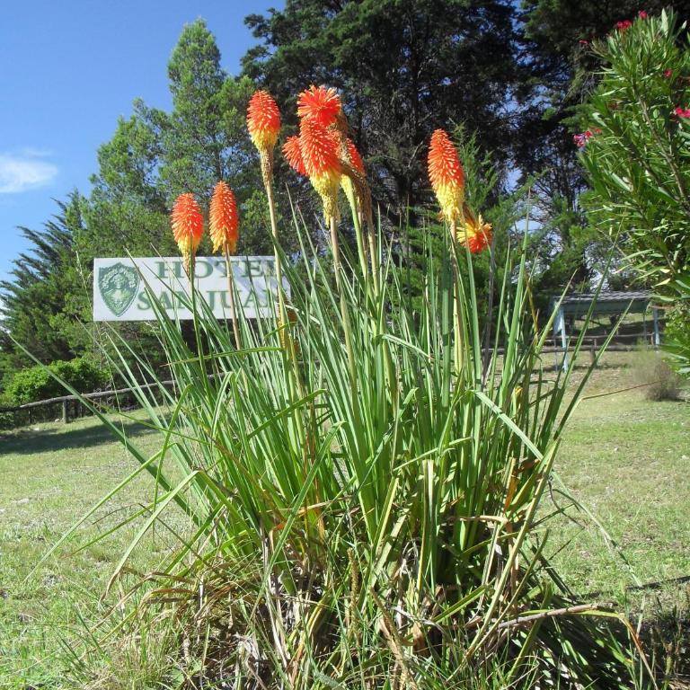Hotel San Juan - Bungalow (4 adultos) - 2