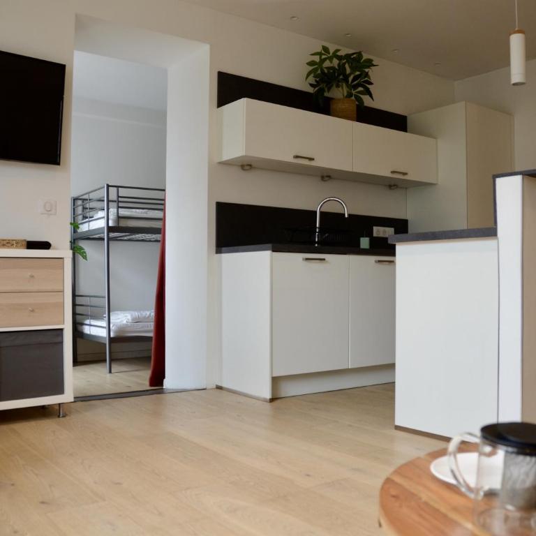 Beau Rivage - Accès plage privée au lac - Apartment - Ground Floor - 7