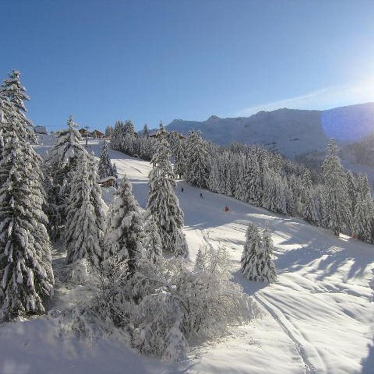 Charmant appartement à Méribel, 4 pers, proche pistes et commerces - FR-1-180-74 - Appartement (4 Adultes) - 18