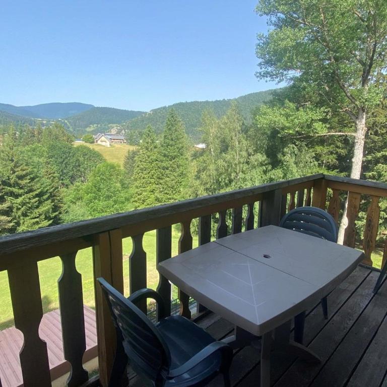 Appartement T2 à Villard-de-Lans pour 4 personnes - FR-1-515-148 - Apartment - 1