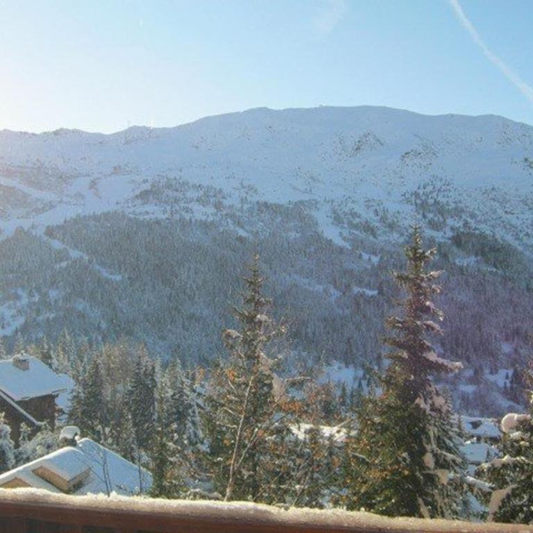 Meribel : Bel Appartement 2 Pièces avec Parking, Proche Pistes et Commerces - FR-1-180-89 - Appartement (4 Adultes) - 20