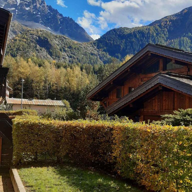 T2 rez-de-jardin Chamonix avec parking et vue Mont Blanc - FR-1-517-65 - Apartment - 1