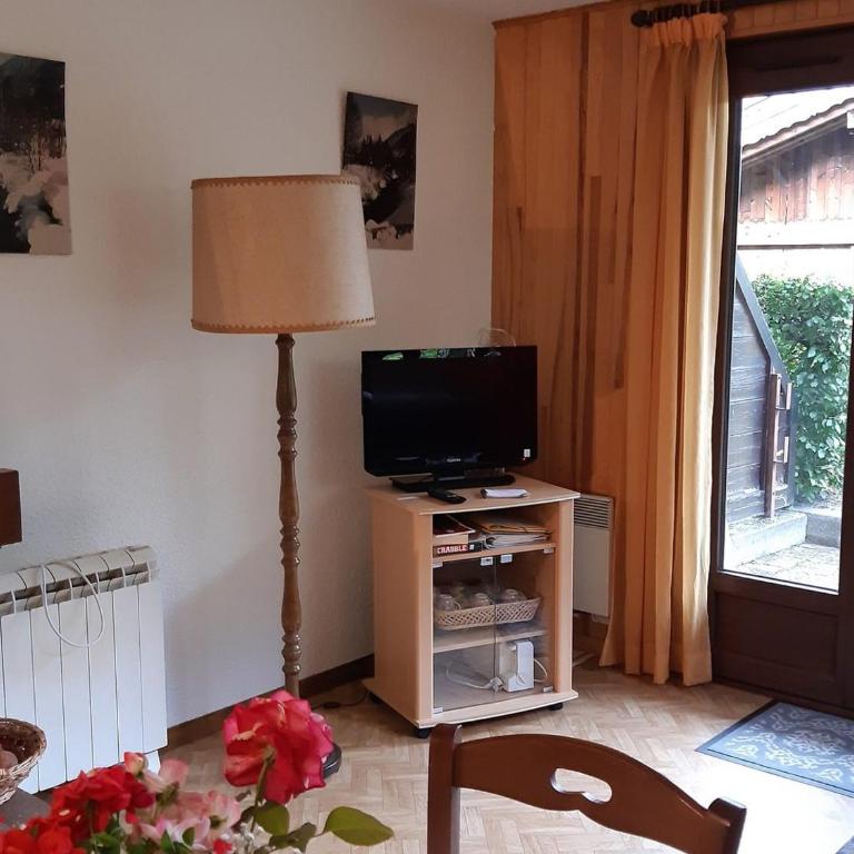 T2 rez-de-jardin Chamonix avec parking et vue Mont Blanc - FR-1-517-65 - Apartment - 4
