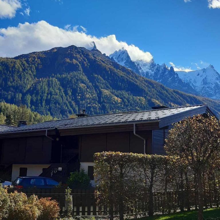 T2 rez-de-jardin Chamonix avec parking et vue Mont Blanc - FR-1-517-65 - Apartment - 11