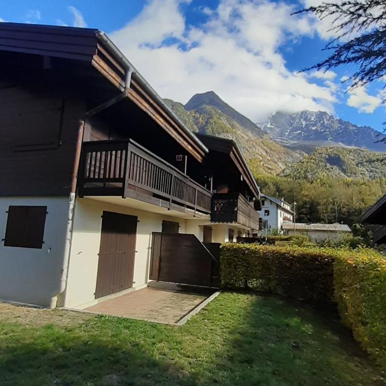 T2 rez-de-jardin Chamonix avec parking et vue Mont Blanc - FR-1-517-65 - Apartment - 12