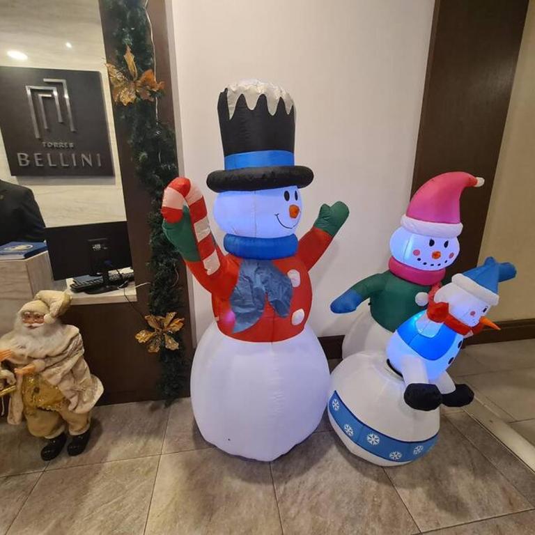 New Habitacion Vista al Río Bellini III Santa Ana - Apartamento de 1 dormitorio - 32