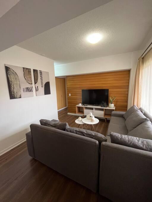 Hermoso departamento en playa Frutillar Bajo - Apartamento de 2 dormitorios - 2