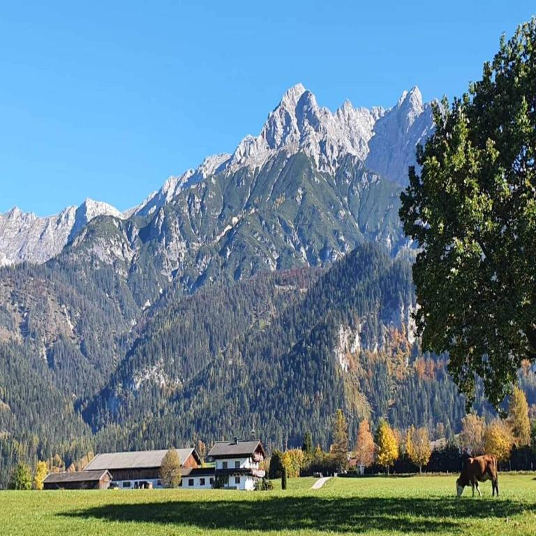 Holiday on an organic farm near ski slopes - Appartement 2 Chambres - 5