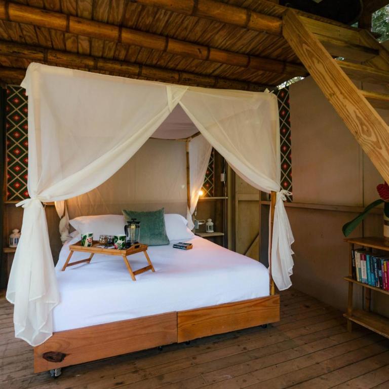 SelvaMinca - Bungalow Estándar - 5