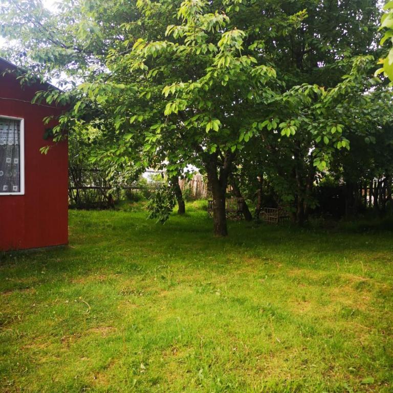 Cabañas Kela - Cottage with Garden View - 2