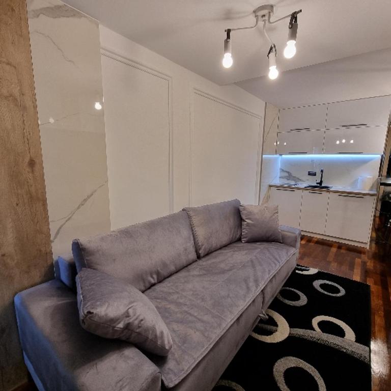 Apartman 118-Aparthotel Vucko Jahorina private host - Apartman sa 1 Spavaćom Sobom - 9