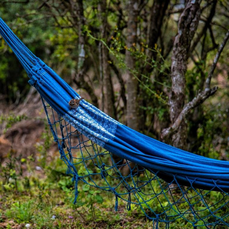 Marrakech Villa Serrana - One-Bedroom House - 67
