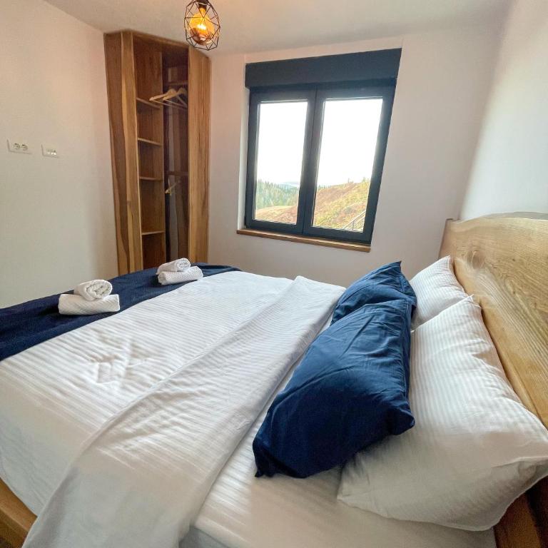 Apartman Ravna Planina - One-Bedroom Apartment - 12