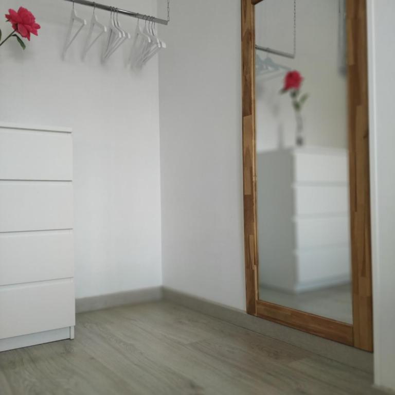 Apartamento Dinasty - Apartamento con terraza - 31