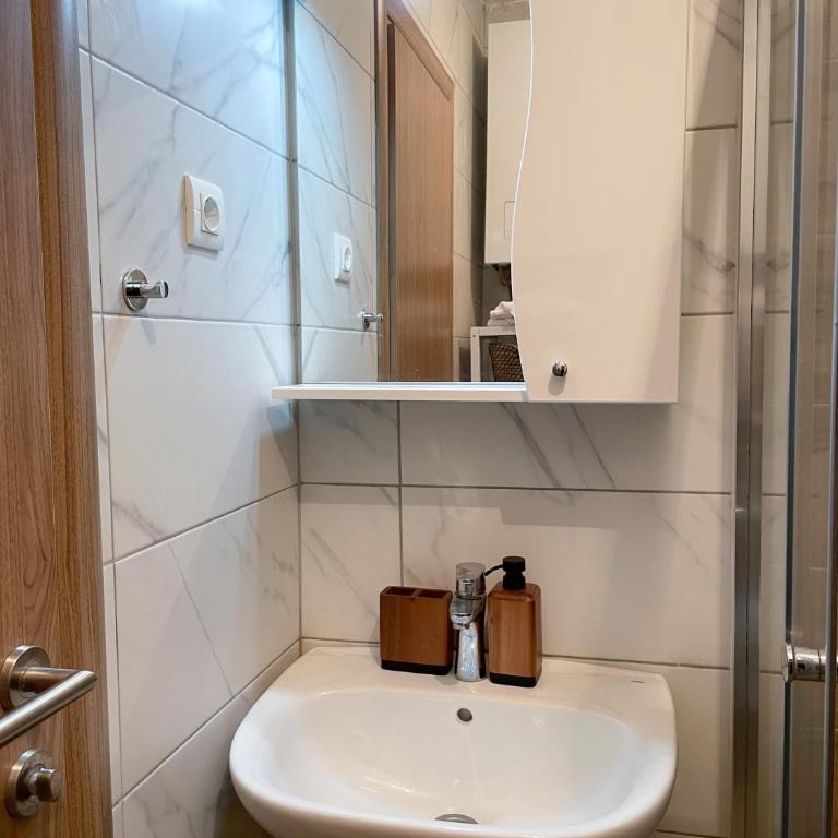 Apartman Ravna Planina - One-Bedroom Apartment - 18