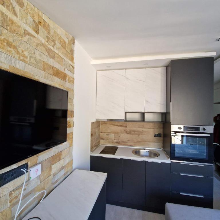 Euphoria Milmari Resort Kopaonik - Apartman sa 1 Spavaćom Sobom - 1