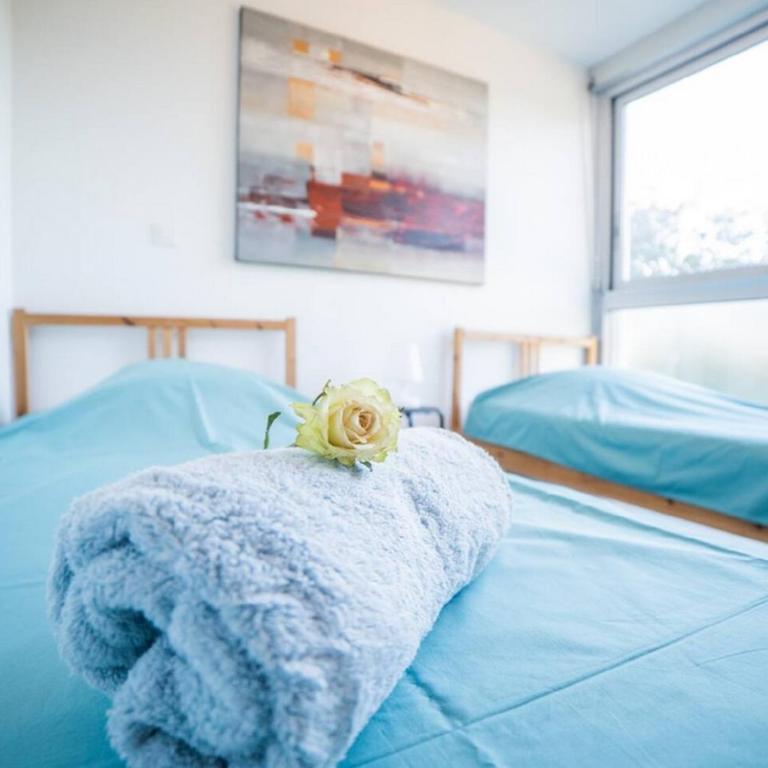 LE CALDERINI APPART - Face PLAGE WIFI et PARK Gratuit CALME - Résid Le Surcouf -TOP PROS SERVICESConciergerie La Grande Motte - Apartment mit 2 Schlafzimmern - 22