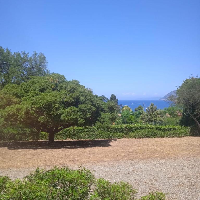 Villetta Le Grotte - Villa - 3