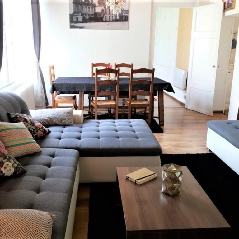 Vue sur Chateau et Loire - Appartement - 9