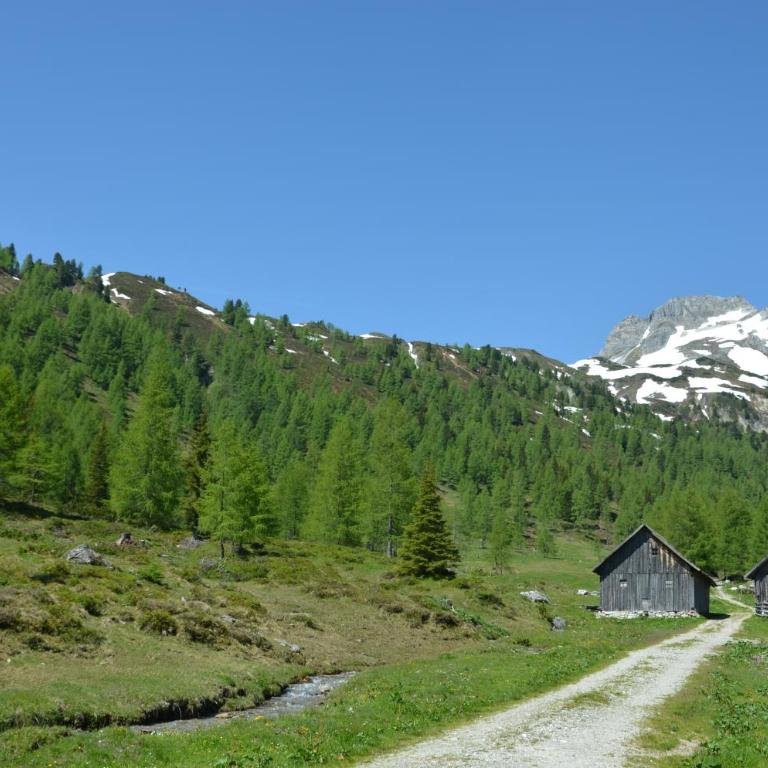 Urlaub am Kräutlhof in Mariapfarr - Apartment mit Blick auf die Berge - 3
