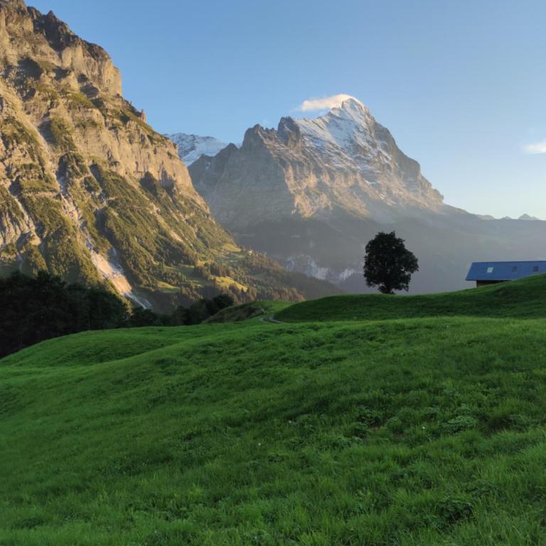 Chalet Pfyffer - Mountain view - Appartamento con 1 Camera da Letto - 14