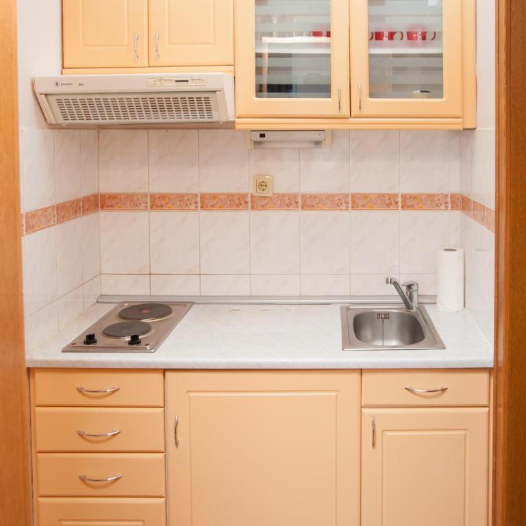 Vila Romantika - Apartman s 1 Spavaćom Sobom i Popločanim Dvorištem - 5
