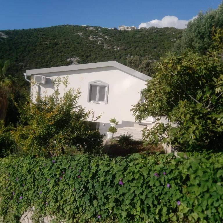 Blue Horizon - Apartment with Sea View - 3