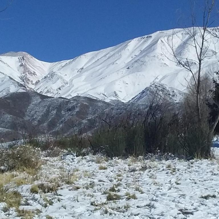 La Nave 2 - Bungalow Familiar - 52