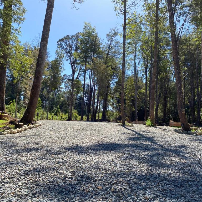 Refugio Los Coigues Casa en bosque con tinaja - Three-Bedroom House - 47
