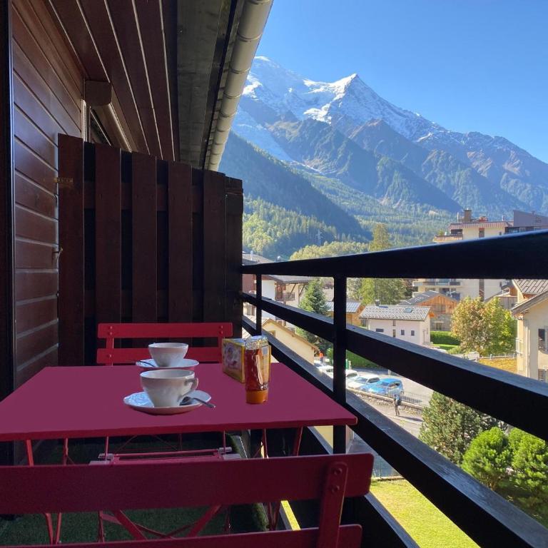 Appartement spacieux à Chamonix - 4 pers, animaux admis, parking - FR-1-343-237 - Apartment - 2