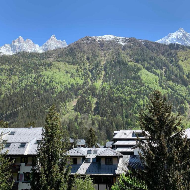Studio à Chamonix avec balcon, 4 personnes - FR-1-343-238 - Estudio - 3