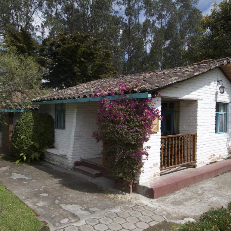 Las Palmeras Inn - Single Room - 3