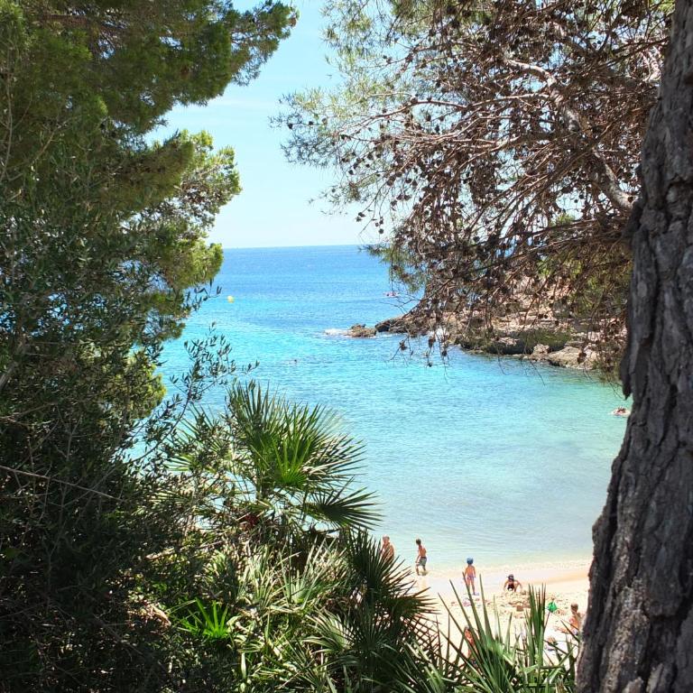 Isabella spacious modern villa with sea views - Villa con piscina privada - 64