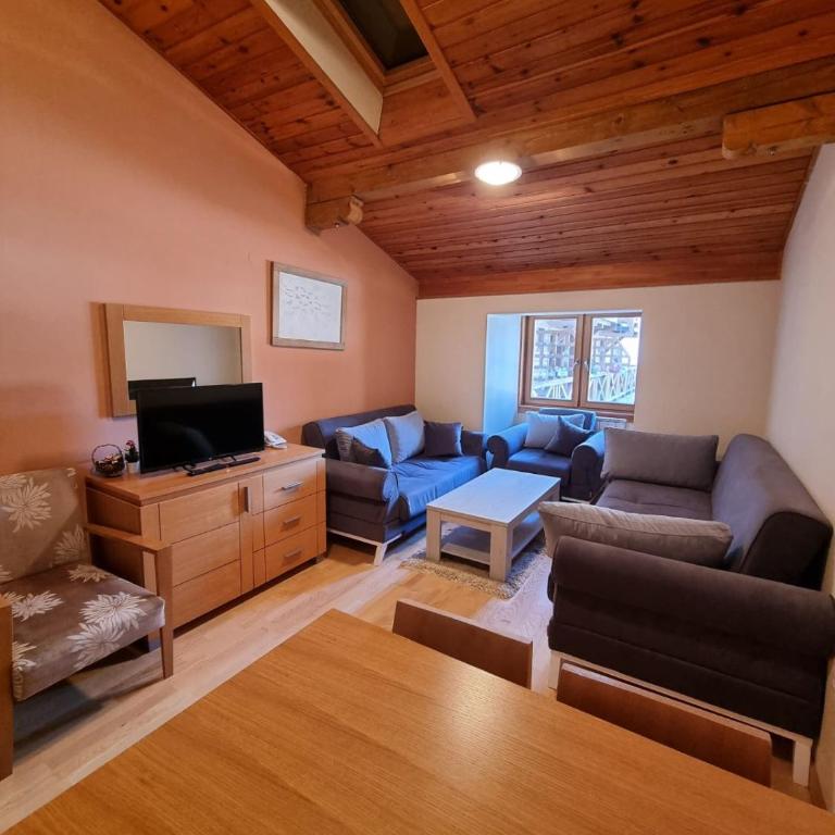 RT apartmani u sklopu hotela Vučko- Jahorina - Standard Apartment - 3