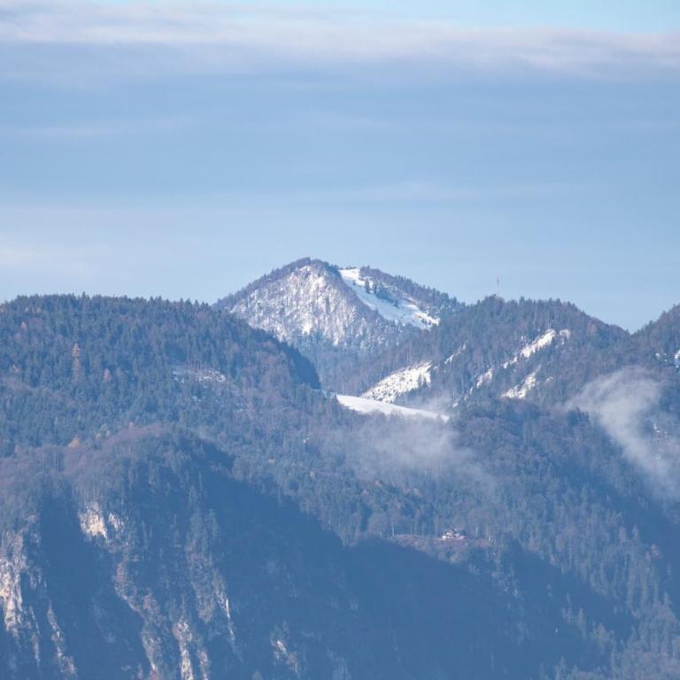 Wolfgangsee Appartements - Panorama Blick, Parkplatz, Balkon - Studio with Lake View - 32