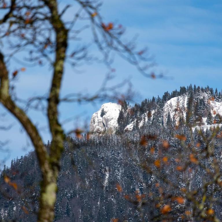 Wolfgangsee Appartements - Panorama Blick, Parkplatz, Balkon - Studio with Lake View - 34