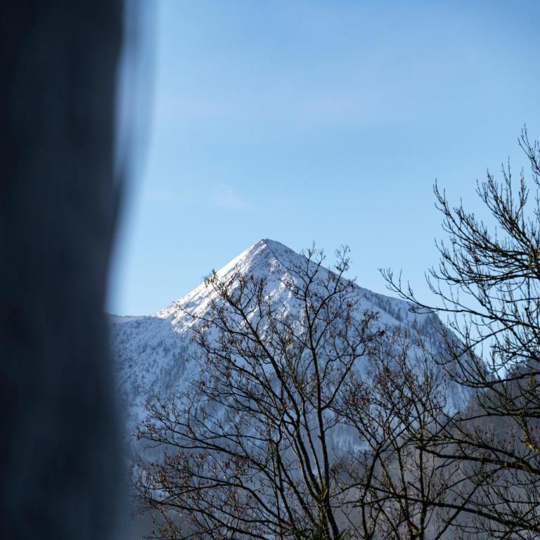 Wolfgangsee Appartements - Panorama Blick, Parkplatz, Balkon - Studio with Lake View - 36