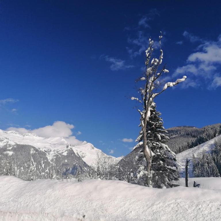 BergAufe Chalets Mallnitz Winter-Summer Benefits Many Extras Included - Chalet mit 3 Schlafzimmern - 54