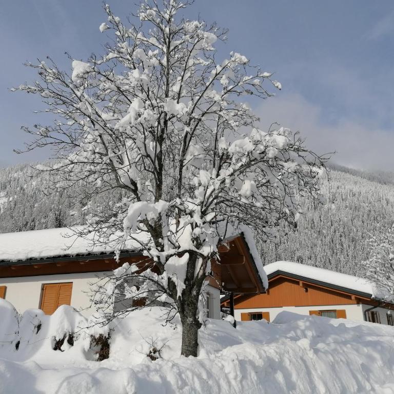 BergAufe Chalets Mallnitz Winter-Summer Benefits Many Extras Included - Chalet mit 3 Schlafzimmern - 39