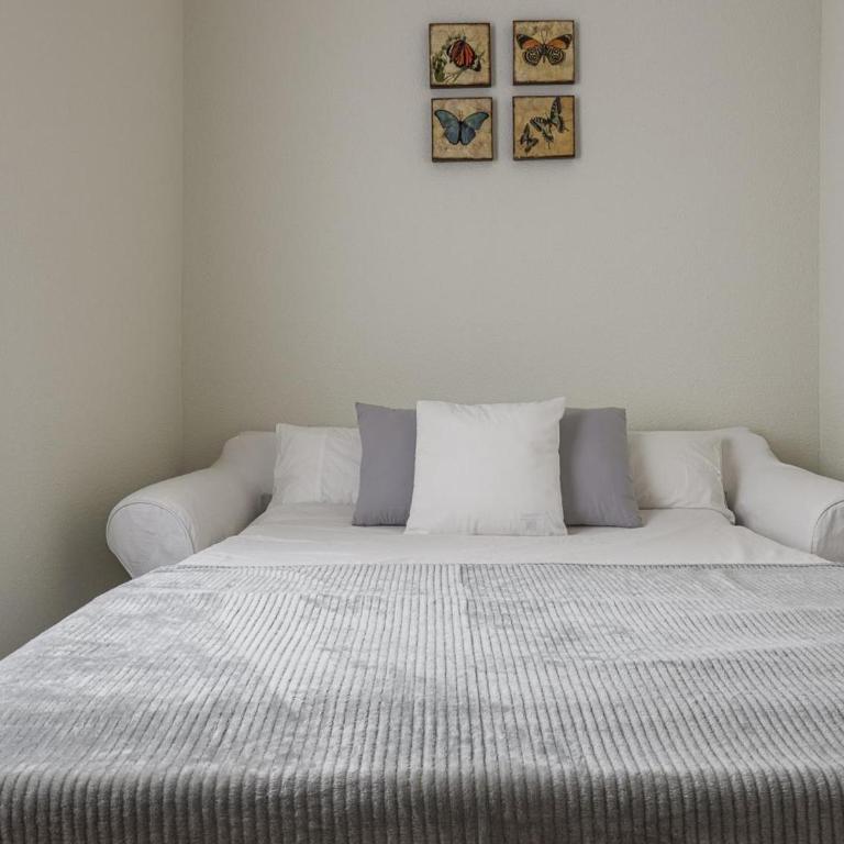 Placentines Cathedral dreams Oasis en Santa Cruz - Apartamento - 25