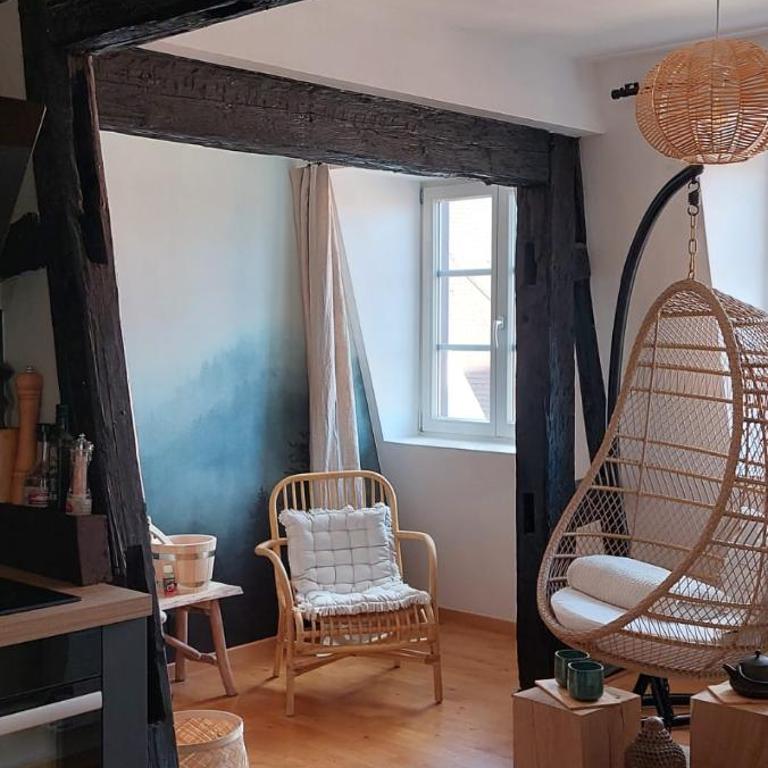 Appartement Le Verdoyant hyper centre avec Parking et Sauna - Appartamento Superior - 4