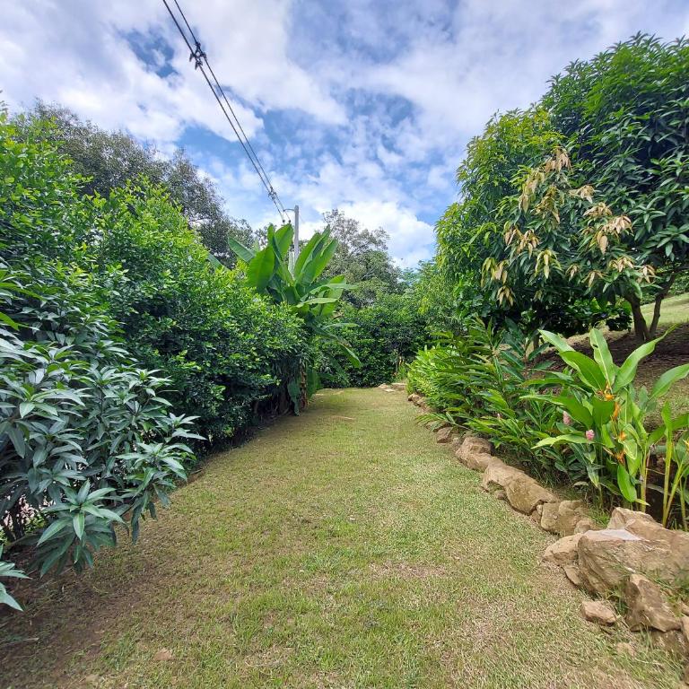 Rodeo Real Finca - Chalet - 25