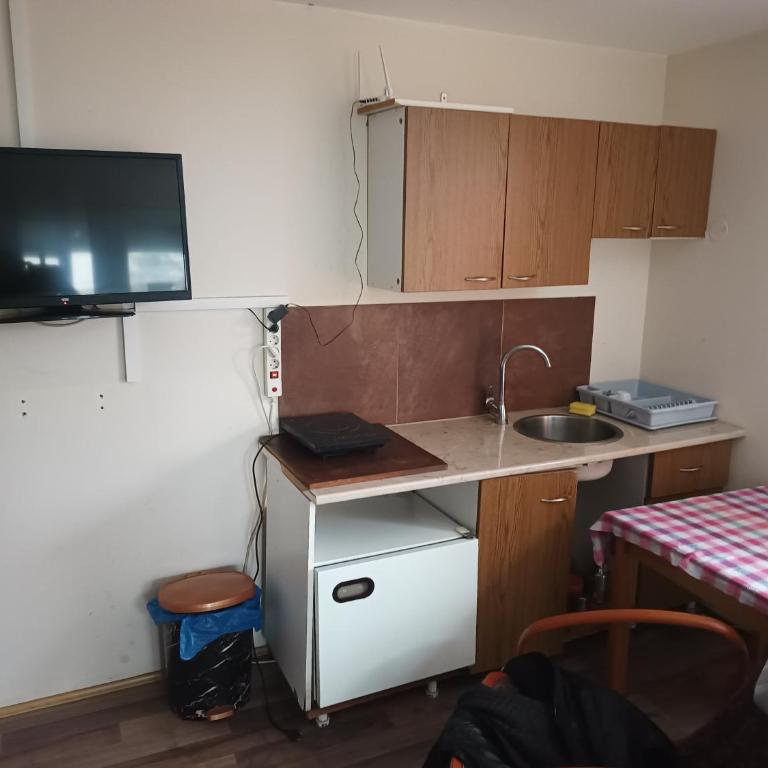 Kuca za odmor ''Djurovic'' - One-Bedroom Apartment - 5
