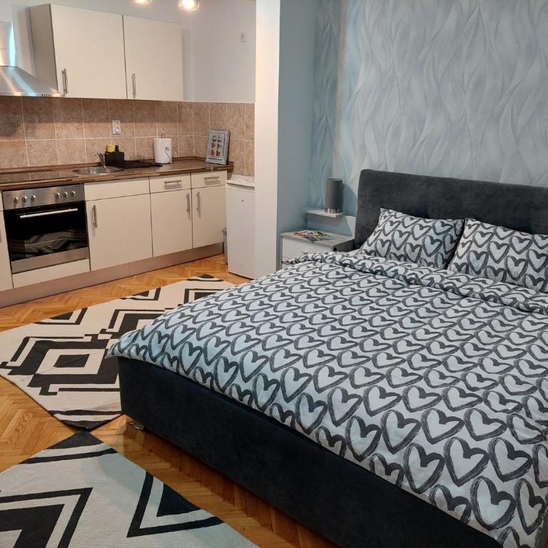 Apartman Bart - Apartman sa Terasom - 15