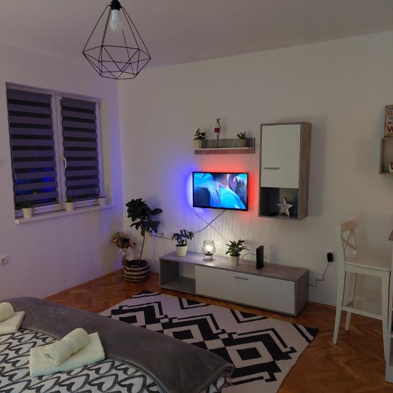 Apartman Bart - Apartman sa Terasom - 25